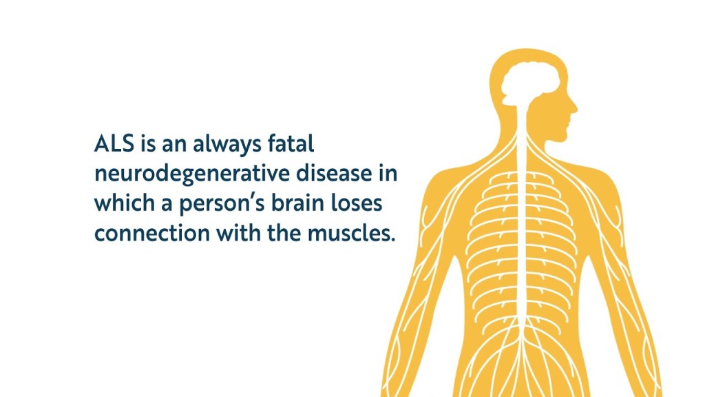 Watch “Conversation in ASL with a Toddler | Deaf & Hearing Family #shorts” on&nbsp;YouTube