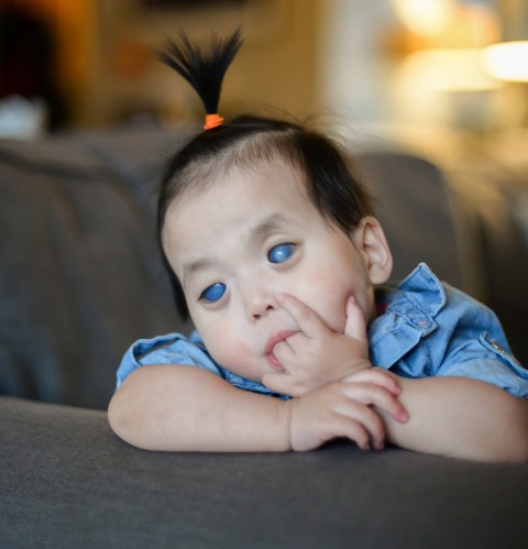 Watch “Primrose’s Adoption (Blind and Adopted)” on&nbsp;YouTube