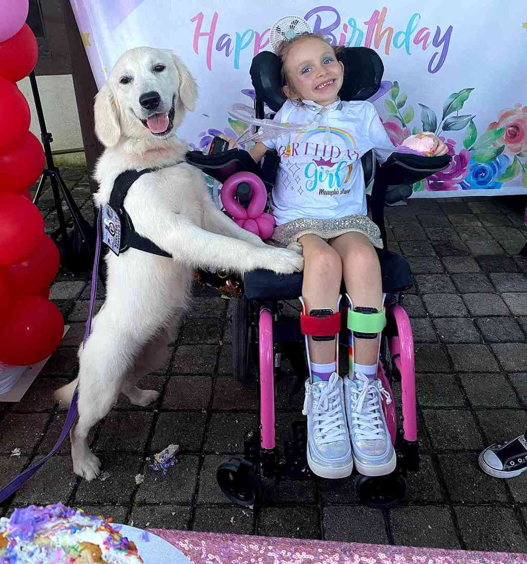 Watch “Girl paralyzed in car accident gets a helping paw” on&nbsp;YouTube