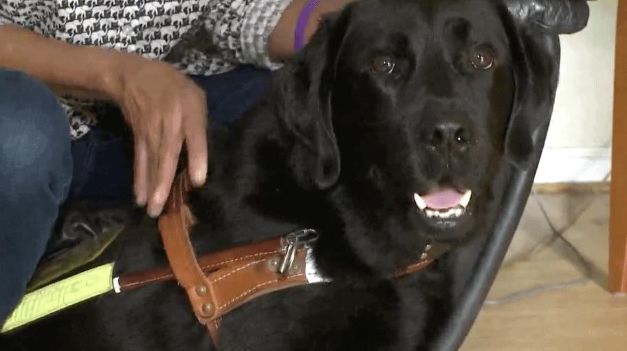 Watch “Blind Woman With Service Dog Placed In Back Of Church” on&nbsp;YouTube