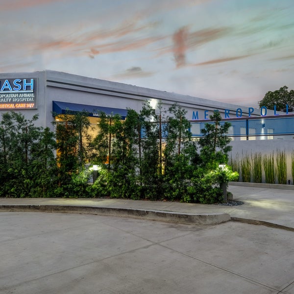 M.A.S.H: Santa Monica,&nbsp;CA